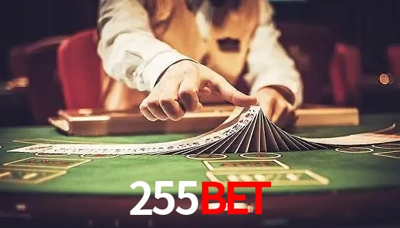 Tournaments 255BET